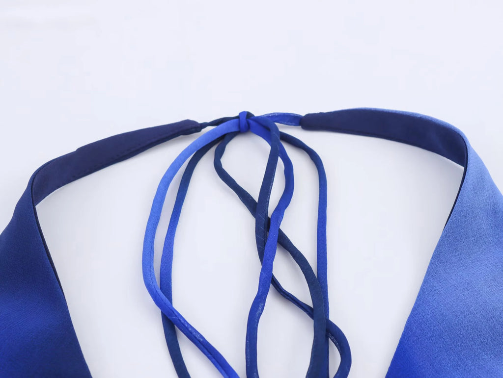 2026 autumn new fashionable temperament blue printed bow decoration hanging neck V-neck long dress