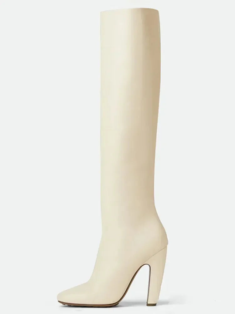 2026 Women's New Winter Coarse High Heels Knee Boots European and American Sexy Square Head Side Zipper Fashion Large Boots